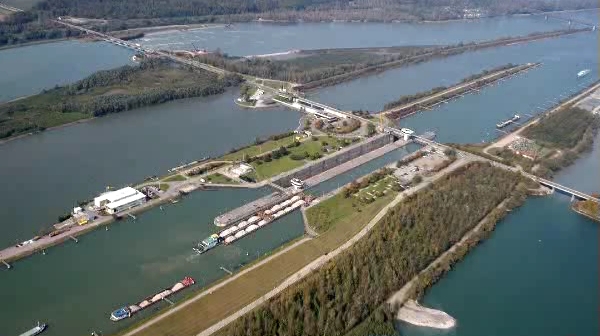 Le Rhin à Gambsheim